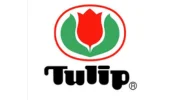 Tulip