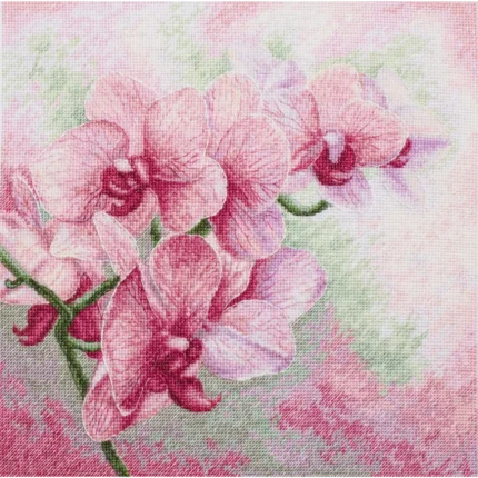 Grakščios orchidėjos Luca-S siuvinėjimo kryželiu rinkinys